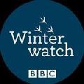BBC Winterwatch